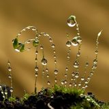 Das User-Foto des Tages - Februar 2008 - Bild 2