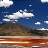 Das User-Foto des Tages - Februar 2008 - Bild 3