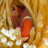 Das User-Foto des Tages - Februar 2008 - Bild 4