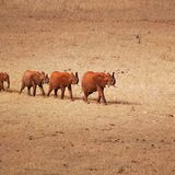 Das User-Foto des Tages - Februar 2008 - Bild 5