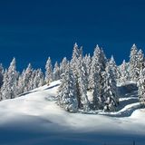 Das User-Foto des Tages - Februar 2008 - Bild 8