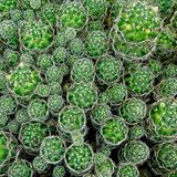 Das User-Foto des Tages - Februar 2008 - Bild 9