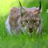 Das User-Foto des Tages - Februar 2008 - Bild 11