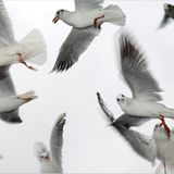 Das User-Foto des Tages - Februar 2008 - Bild 14