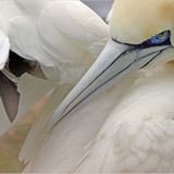 Das User-Foto des Tages - Februar 2008 - Bild 16