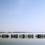 Das User-Foto des Tages - Februar 2008 - Bild 17