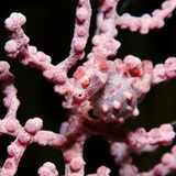 Das User-Foto des Tages - Februar 2008 - Bild 18