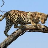 Das User-Foto des Tages - Februar 2008 - Bild 20