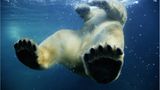 Fotogalerie: "Unsere Erde" - Bild 3