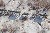 Fotogalerie: "Unsere Erde" - Bild 10