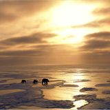 Film: Kinotipp: "Unsere Erde" - Bild 2