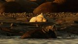 Film: Kinotipp: "Unsere Erde" - Bild 7