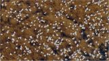 Film: Kinotipp: "Unsere Erde" - Bild 8
