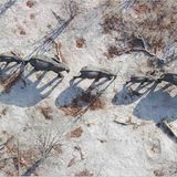 Film: Kinotipp: "Unsere Erde" - Bild 10