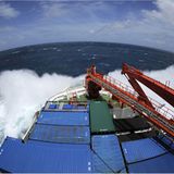 Unter Forschern - Bild 3