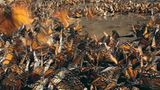 Der gefahrvolle Trek der Monarchfalter - Bild 3