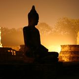 Das User-Foto des Tages - März 2008 - Bild 4