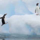 Das User-Foto des Tages - März 2008 - Bild 7