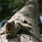 Das User-Foto des Tages - März 2008 - Bild 8