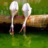 Das User-Foto des Tages - März 2008 - Bild 10