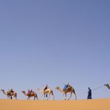 Das User-Foto des Tages - März 2008 - Bild 11