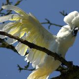 Das User-Foto des Tages - März 2008 - Bild 12