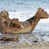 Das User-Foto des Tages - März 2008 - Bild 16