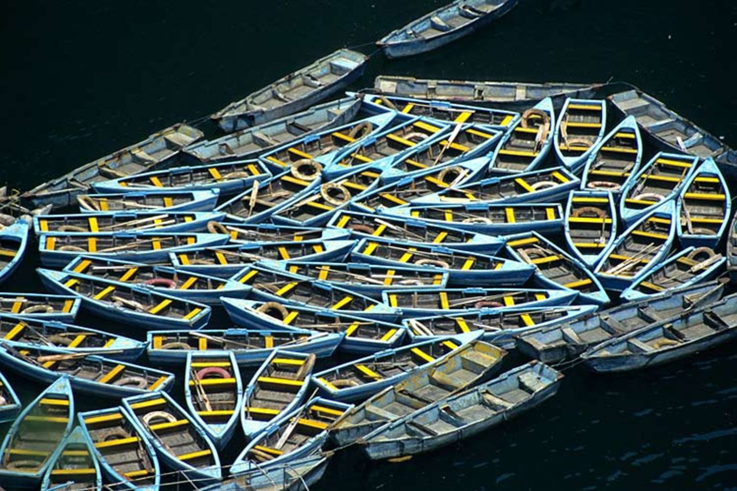 Das User-Foto des Tages - März 2008 - Bild 17