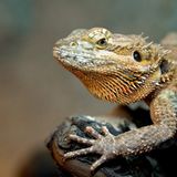 Das User-Foto des Tages - März 2008 - Bild 19