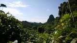 Fotoshow zum Waldschutzprogramm in Vietnam