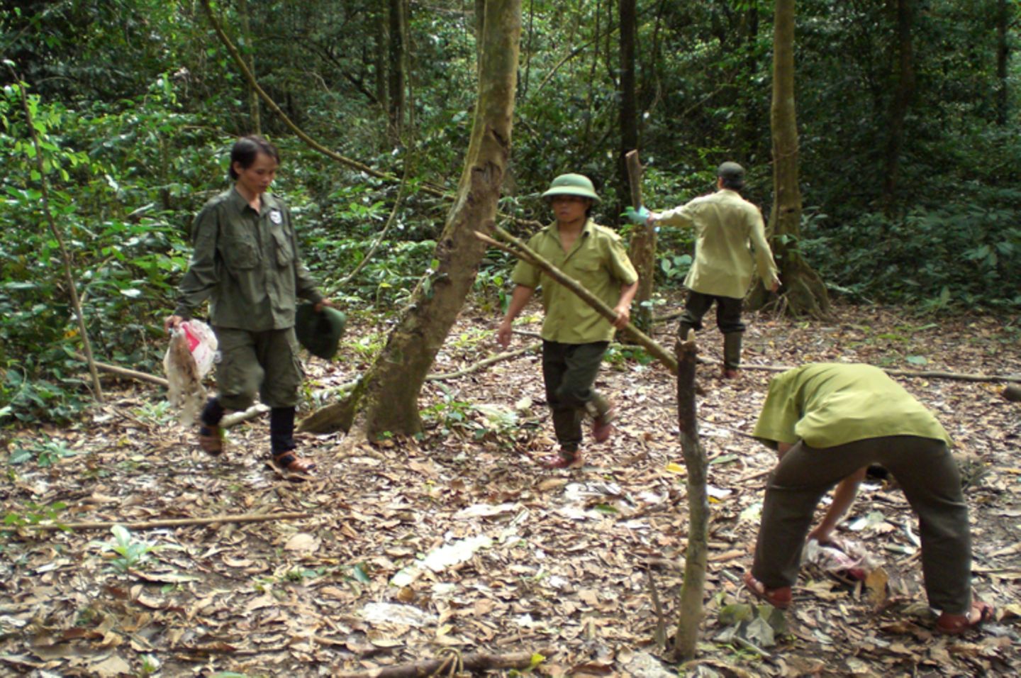 Fotoshow zum Waldschutzprogramm in Vietnam - Bild 3