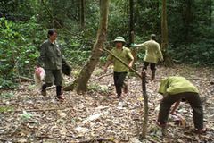 Fotoshow zum Waldschutzprogramm in Vietnam - Bild 3