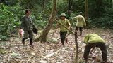 Fotoshow zum Waldschutzprogramm in Vietnam - Bild 3