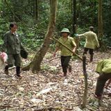 Fotoshow zum Waldschutzprogramm in Vietnam - Bild 3