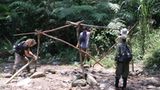 Fotoshow zum Waldschutzprogramm in Vietnam - Bild 6