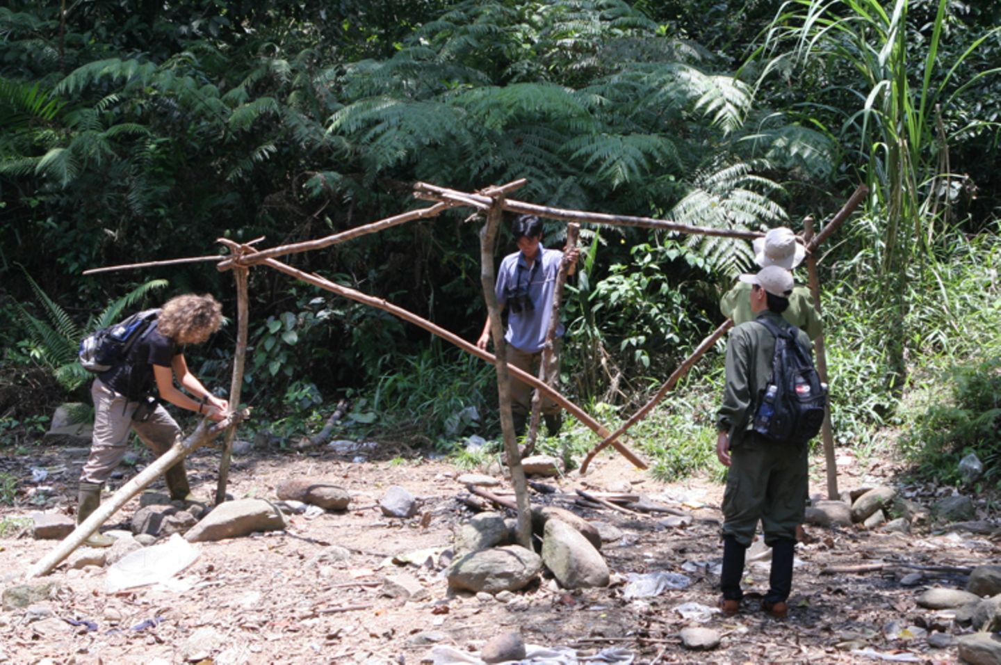 Fotoshow zum Waldschutzprogramm in Vietnam - Bild 6