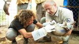 Fotoshow zum Waldschutzprogramm in Vietnam - Bild 7