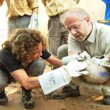 Fotoshow zum Waldschutzprogramm in Vietnam - Bild 7