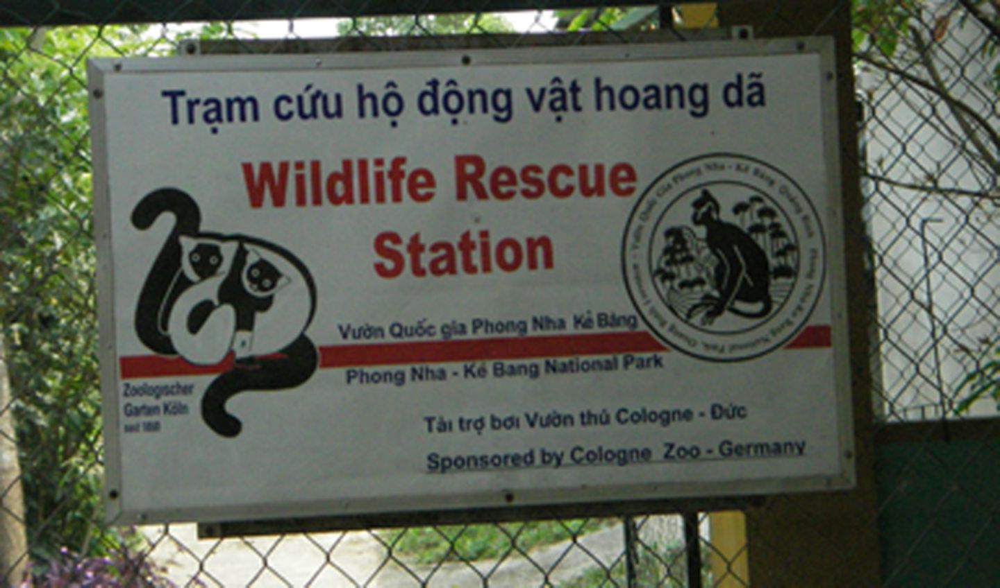 Fotoshow zum Waldschutzprogramm in Vietnam - Bild 8 Fotoshow zum Waldschutzprogramm in Vietnam - Bild 8