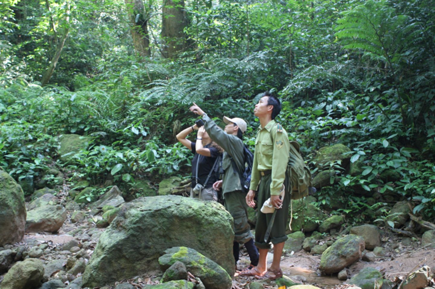 Fotoshow zum Waldschutzprogramm in Vietnam - Bild 11