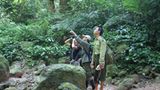 Fotoshow zum Waldschutzprogramm in Vietnam - Bild 11