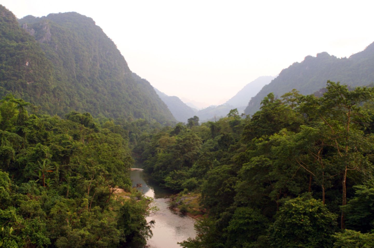 Fotoshow zum Waldschutzprogramm in Vietnam - Bild 13