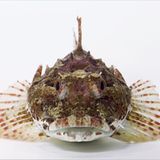 Fotogalerie: Die wilde Nordsee