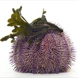 Fotogalerie: Die wilde Nordsee - Bild 2