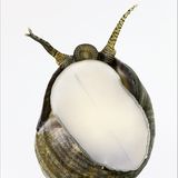 Fotogalerie: Die wilde Nordsee - Bild 4