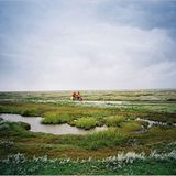 Fotogalerie: Die wilde Nordsee - Bild 5