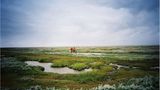 Fotogalerie: Die wilde Nordsee - Bild 5
