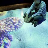 Fotogalerie: Die wilde Nordsee - Bild 17