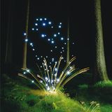 Fotokunst: Die Farben der Dunkelheit - Bild 2