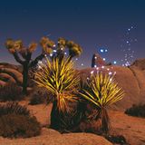 Fotokunst: Die Farben der Dunkelheit - Bild 6